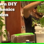 DIY Aerophonics Garden