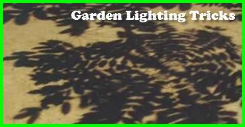 Garden Lighting Tricks