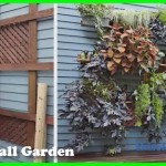 Living Wall Garden