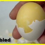 scrambled and hard boiled