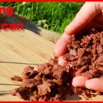 how to make pemmican