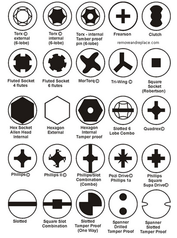 different screw types