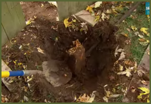 Removing Rotted Fence Post