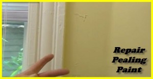 how to repair pealing paint