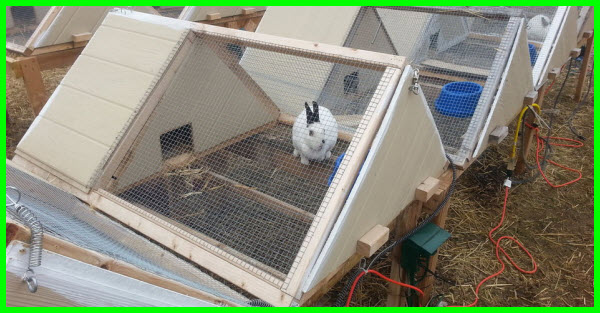 A-frame Rabbit Hutch