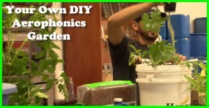 DIY Aerophonics Garden