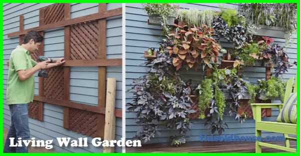 Living Wall Garden