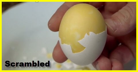 scrambled and hard boiled