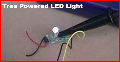 tree powered LED light