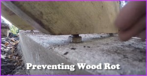 how to prevent wood rot